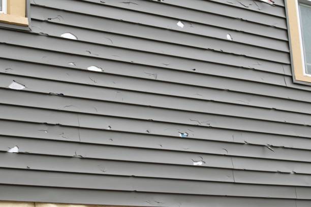 Professional Siding Installation & Repair in Oceanside, CA